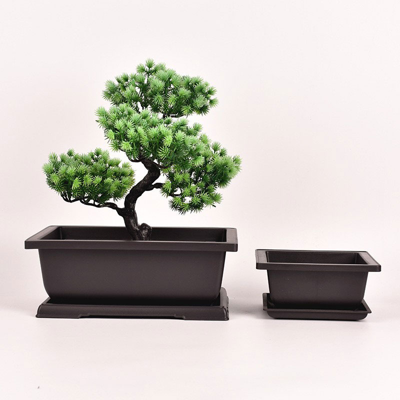 Chậu Bonsai Chữ Nhật